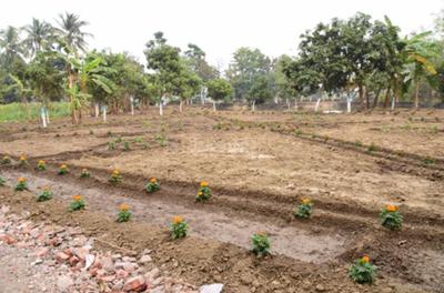 Gallery Cover Image of Sq.ft Residential Plot for buy in Barrackpore for 1100000