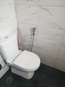 Common Bathroom Image of Mk PG in Sector 15