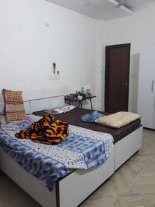 Bedroom Image of PG 4442245 Palam in Palam