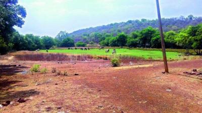 Residential Plot