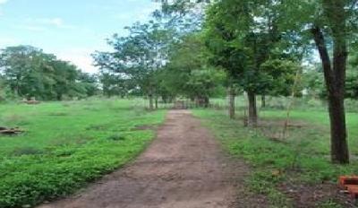 Residential Plot