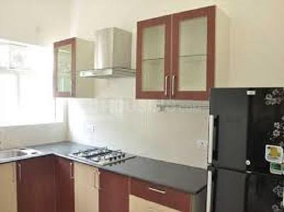 1 BHK Apartment