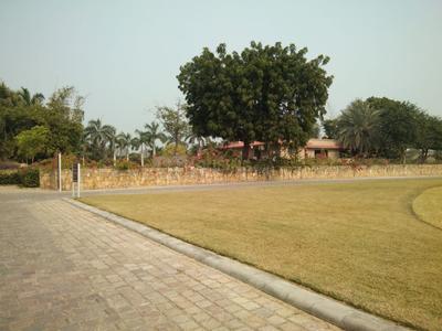 Residential Plot