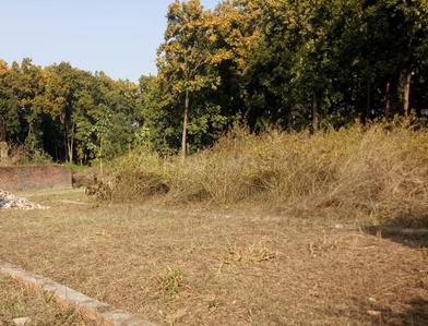 1200 Sq.ft Residential Plot for Sale in Manduwala, Dehradun
