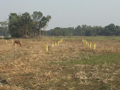 Gallery Cover Image of Sq.ft Residential Plot for buy in Thakurpukur for 300000