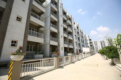 3 BHK Apartment