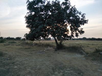 4500 Sq.ft Residential Plot for Sale in Sector 11, Faridabad