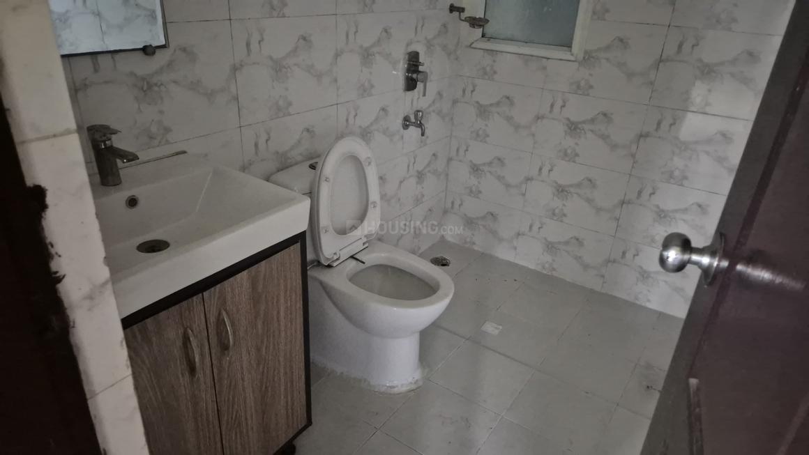 Sethi Max Royal - Image 15