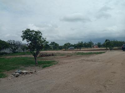 Residential Plot