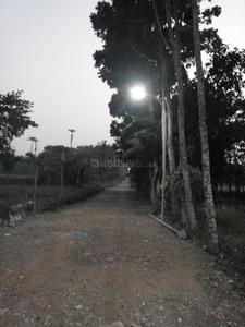 Gallery Cover Image of Sq.ft Residential Plot for buy in Joka for 340000