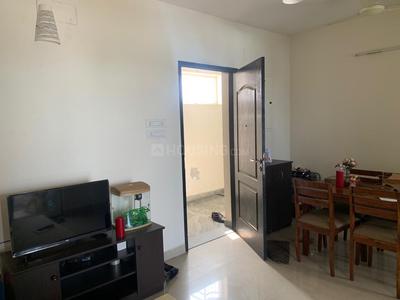 1 BHK Apartment