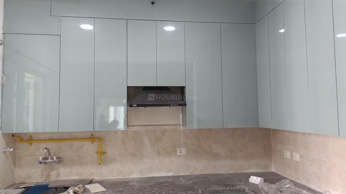 Apex Alphabet - Image 11