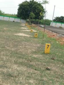 Gallery Cover Image of Sq.ft Residential Plot for buy in Thirunindravur for 1209600