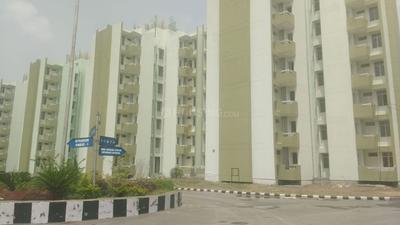 1 BHK Apartment