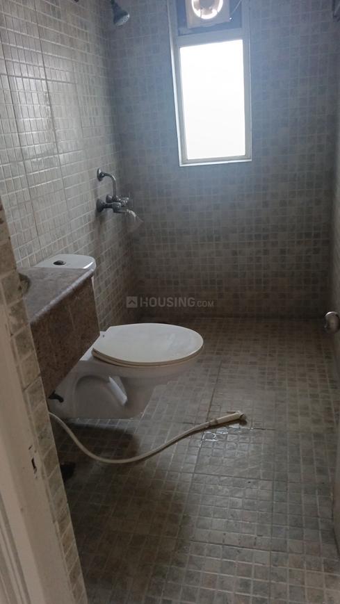 Paras Tierea - Image 17