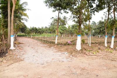 Residential Plot