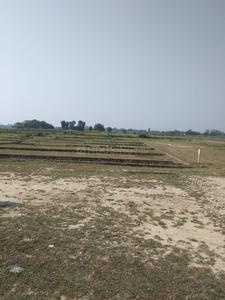 Gallery Cover Image of Sq.ft Residential Plot for buy in Naubasta for 800000