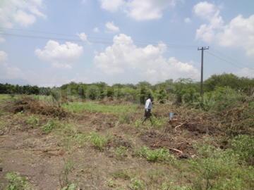 Gallery Cover Image of Sq.ft Residential Plot for buy in Eachanari for 32500000