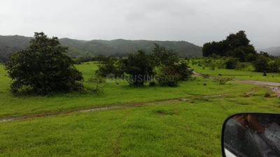 20000 Sq.ft Residential Plot for Sale in Kanhe, Pune