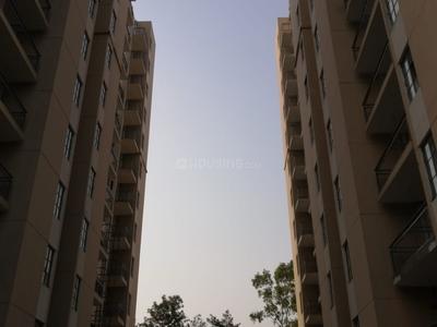 1 BHK Apartment