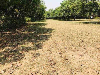 Gallery Cover Image of Sq.ft Residential Plot for buy in Latif Nagar for 550000