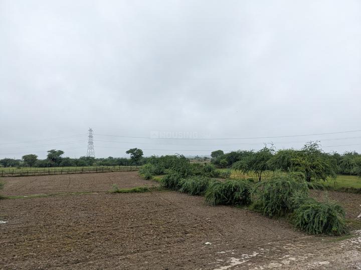 13500 Sqft Agricultural Land for Sale in Tappal, Aligarh Property ID