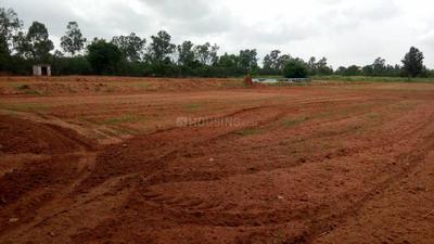 Residential Plot