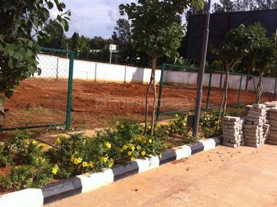 Residential Plot