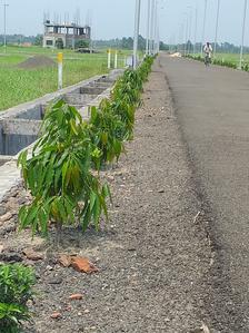 Gallery Cover Image of Sq.ft Residential Plot for buy in Barasat for 487500
