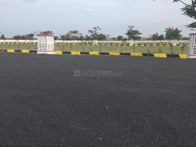 Residential Plot