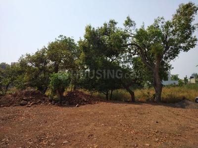 Gallery Cover Image of Sq.ft Residential Plot for buy in Kihim for 15000000