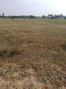 Gallery Cover Image of Sq.ft Residential Plot for buy in Kalapatti for 150000000