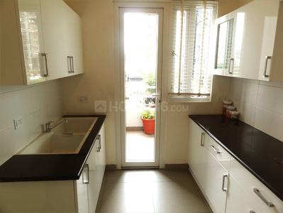 1 BHK Apartment