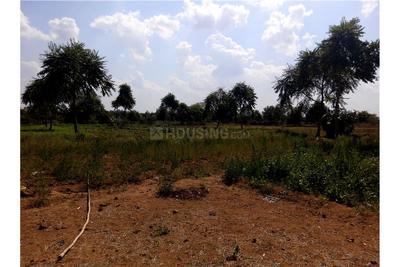 Gallery Cover Image of Sq.ft Residential Plot for buy in Ghuma for 9000000
