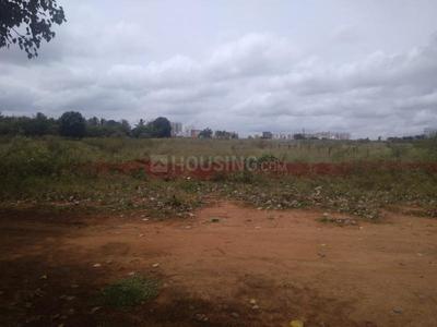 Residential Plot