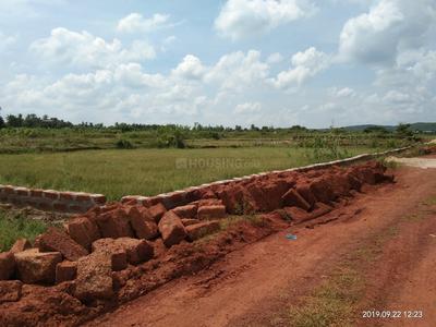 Gallery Cover Image of Sq.ft Residential Plot for buy in Patia for 950000