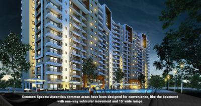 3 BHK Apartment