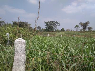 Gallery Cover Image of Sq.ft Residential Plot for buy in Nettigere for 3200000