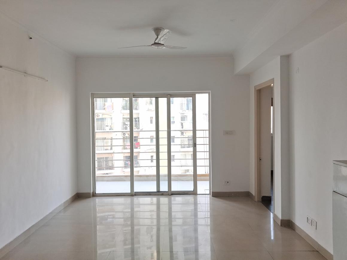 Paras Tierea - Image 8