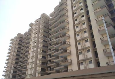 3 BHK Apartment