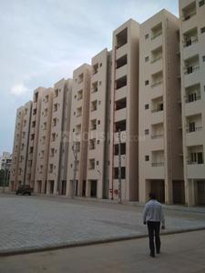 Gallery Cover Image of 600 Sq.ft 1 BHK Apartment for rent in Thaltej for 8500