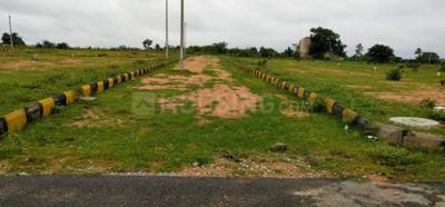 Residential Plot