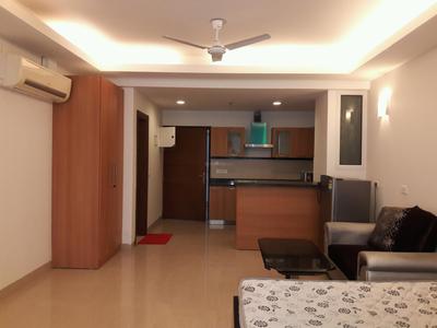 1 RK Apartment