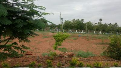 Residential Plot