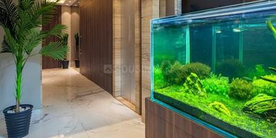 1 BHK Apartment