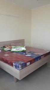 Gallery Cover Image of 650 Sq.ft 1 BHK Apartment for rent in Phase 2 for 12000