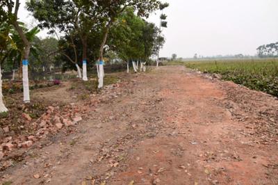Residential Plot