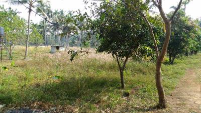 Gallery Cover Image of Sq.ft Residential Plot for buy in Kolazhy for 4375000
