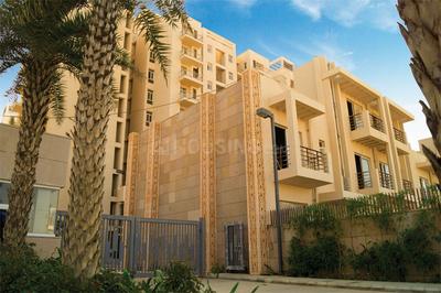 3 BHK Apartment