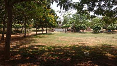 Residential Plot